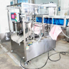 Double Head Self Priming Spout Pouch Filling and Capping Machine Automatic For Liquid Paste Sauce Fruit Juice Laundry Detergent