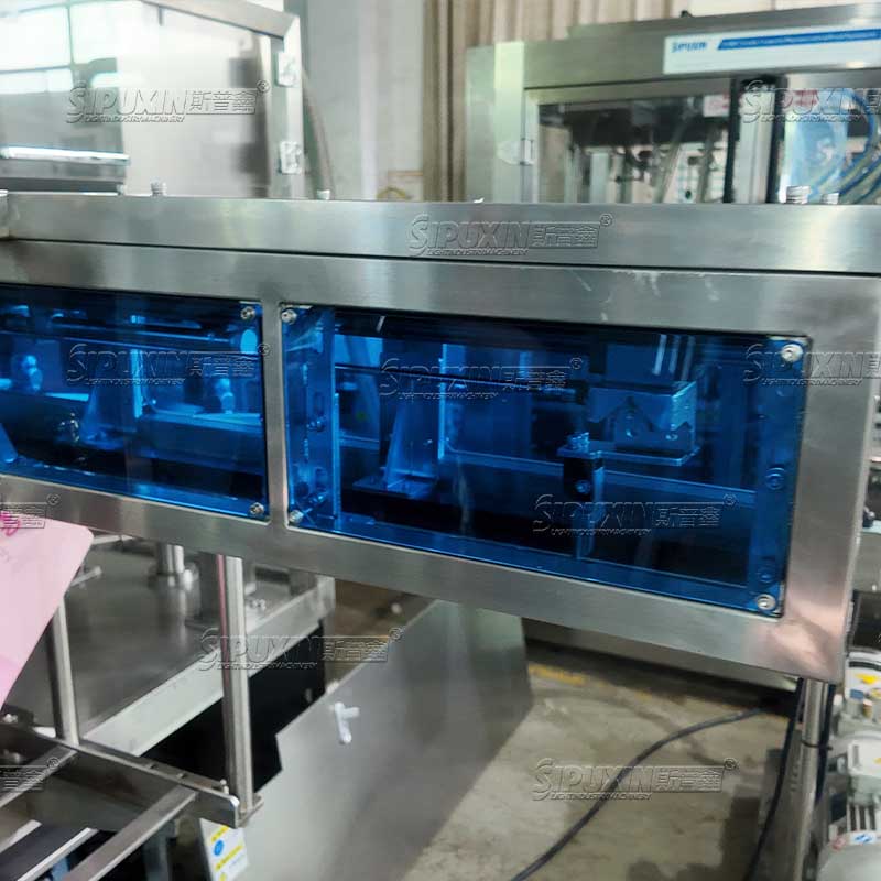 Double Head Self Priming Spout Pouch Filling and Capping Machine Automatic For Liquid Paste Sauce Fruit Juice Laundry Detergent