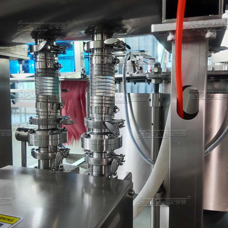 Double Head Self Priming Spout Pouch Filling and Capping Machine Automatic For Liquid Paste Sauce Fruit Juice Laundry Detergent