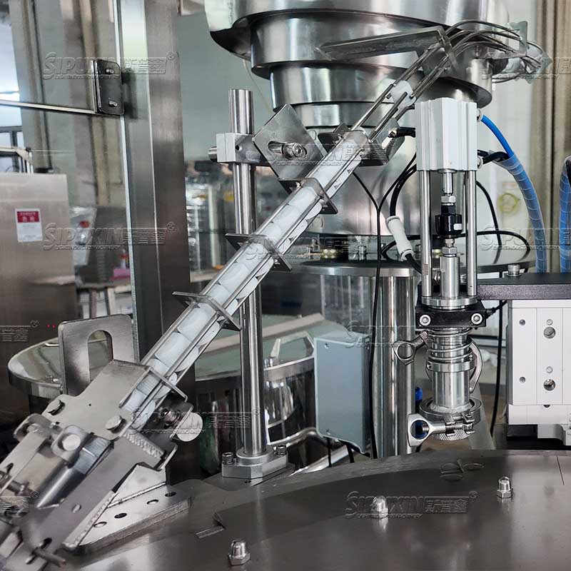 Double Head Self Priming Spout Pouch Filling and Capping Machine Automatic For Liquid Paste Sauce Fruit Juice Laundry Detergent